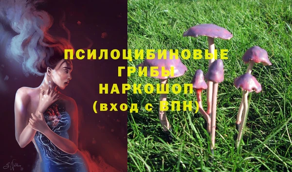 ешки Абдулино
