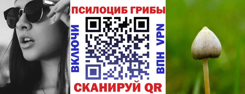 Псилоцибиновые грибы мухоморы  магазин продажи наркотиков  Котовск 